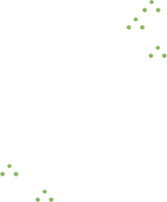 木の気配と、暮らしを創る