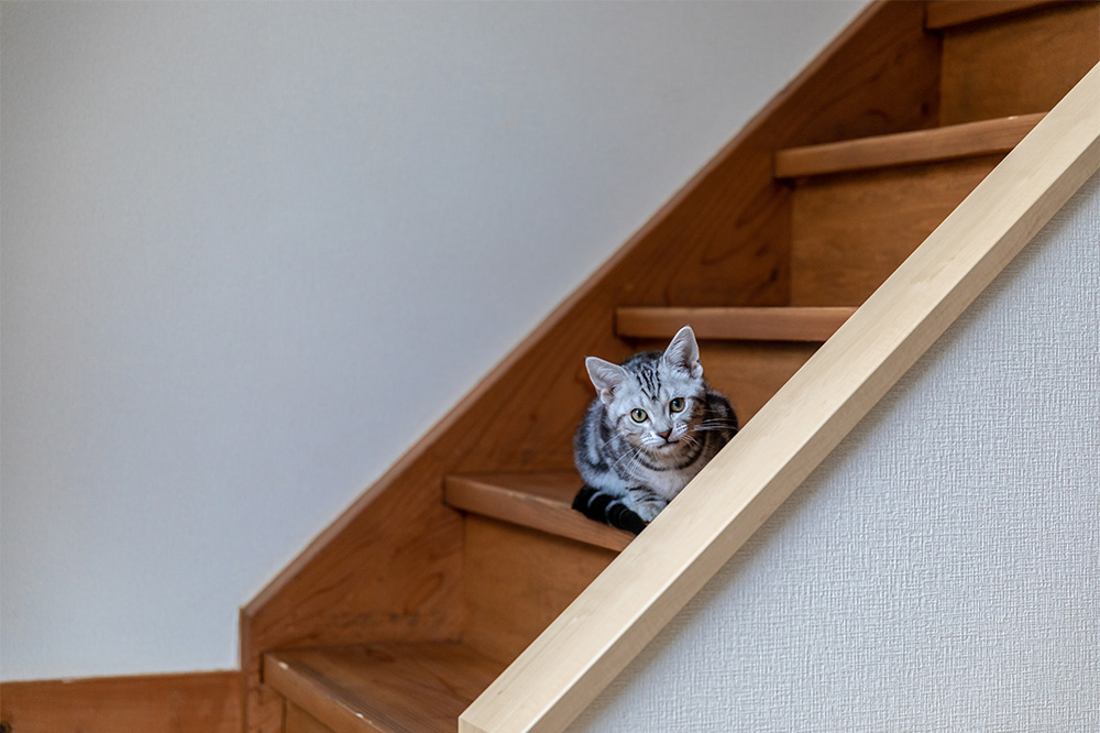 写真：社屋兼用住宅